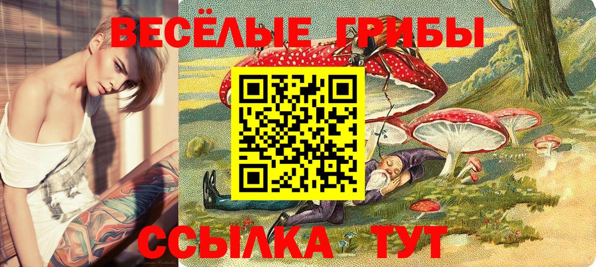 цены наркотик  Вход с VPN  Нефтекамск  Галлюциногенные грибы мухоморы 